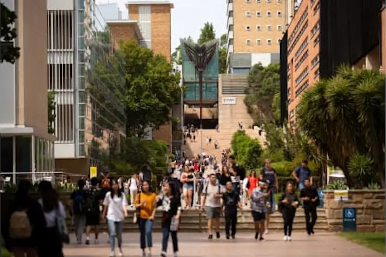 Labor cans $15 million Startup Year scheme after just 8 uni students take on 2000 loans