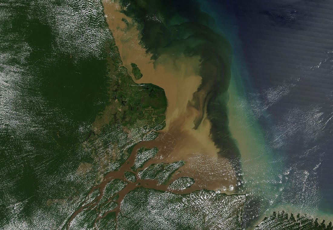 On August 6, 2017, the Moderate Resolution Imaging Spectroradiometer (MODIS) aboard NASA’s Terra satellite acquired a stunning true-color image of the Amazon River Delta. The Amazon River rises in the icy glaciers covering the peaks of the Andes Mountains. Drops of water from the glaciers form multiple tiny rivulets, which converge into a series of small rivers. The rivers wind across more than 4,000 miles (about 6,500 km) across Peru, Bolivia, Venezuela, Columbia, Ecuador and Peru before reaching the broad Amazon River Delta. About 7.7 million cubic feet (219,000 cubic meters) pour into the Atlantic Ocean from the Amazon every second – roughly 88 Olympic-sized swimming pools. The Amazon carries about twenty percent of the entire global riverine flow into the oceans of the world. As the Amazon River pours down the mountains, through rich forests, and across agricultural lands the waters picks up sediment and large amounts of organic matter. The large volume of water pouring from the Amazon River forms a large plume of nutrient rich, fresh water that extends well into the saline Atlantic Ocean. The plume has enormous impact on the near-shore ecosystem of the region, including feeding colonies of microscopic, surface dwelling ocean plants (phytoplankton) that, in turn, feed a diverse population of fish.