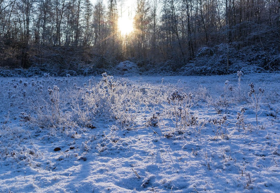 Gelée en janvier - Terril St Roch - Monchecourt