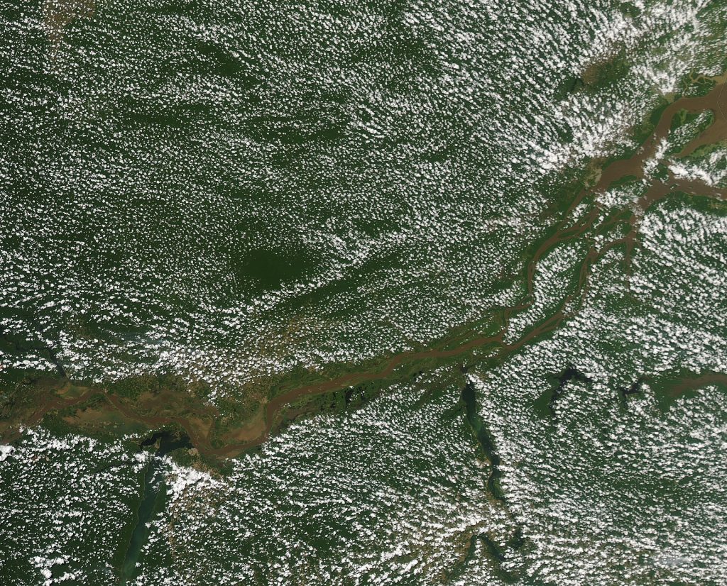 On August 26, 2023, The Moderate Resolution Imaging Spectroradiometer (MODIS) on NASA’s Aqua satellite captured a true-color image of the Amazon rainforest’s vegetation shrouded by sheets of “popcorn” clouds. The clouds are distributed evenly across the forest but no clouds form over the Amazon River’s channels or associated wetlands. Popcorn clouds—also called “fair weather clouds”—often form over thickly vegetated land, especially in the warmth of summer. To start with, heat from the Sun warms the land surfaces, which then warms the air directly above it. That warm air, rich in water vapor, then rises and condenses into clouds. In addition, plants use sunlight to fuel photosynthesis—a process that converts carbon dioxide and water into sugar and oxygen. As plants take up carbon dioxide, water vapor escapes the leaves. The newly-released water vapor also rises and adds to cloud formation. Bodies of water, on the other hand, do not change temperature as rapidly; the water remains cooler even during full Sun exposure. The water does not heat up enough to significantly warm the air above it, preventing air from rising to make clouds.