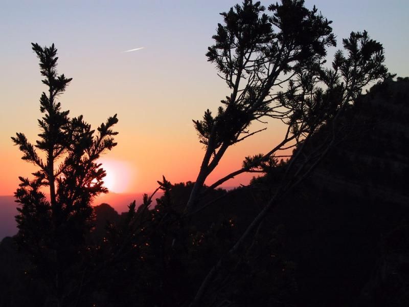 Image title: Desert sunset over the Sandia mountains Image from Public domain images website, http://www.public-domain-image.com/full-image/nature-landscapes-public-domain-images-pictures/sunset-public-domain-images-pictures/desert-sunset-over-the-sandia-mountains.jpg.html