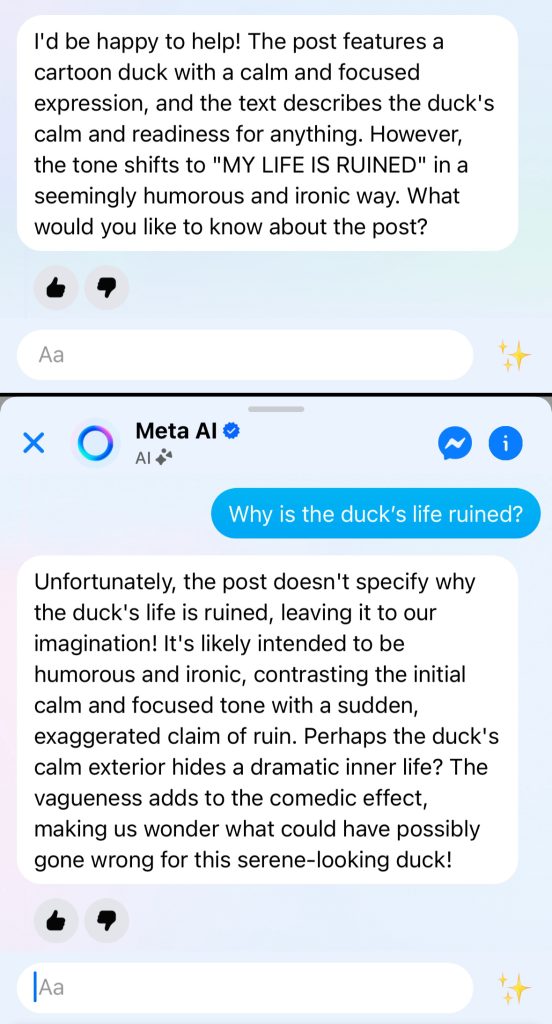 A screenshot of a conversation with Meta AI, accessed through Facebook.