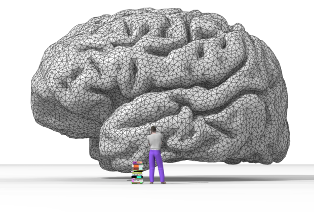 Rendering of human brain.